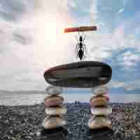 免‌费﻿技​术​前‌沿‌工‌具​